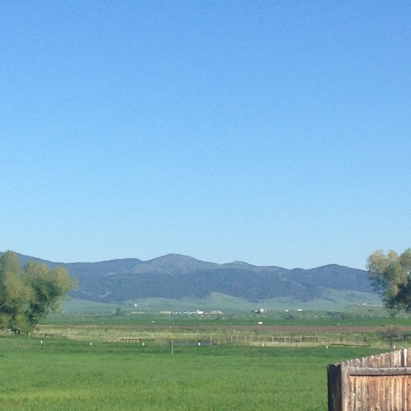 Meet your Posher, The - Picture 5 of 5